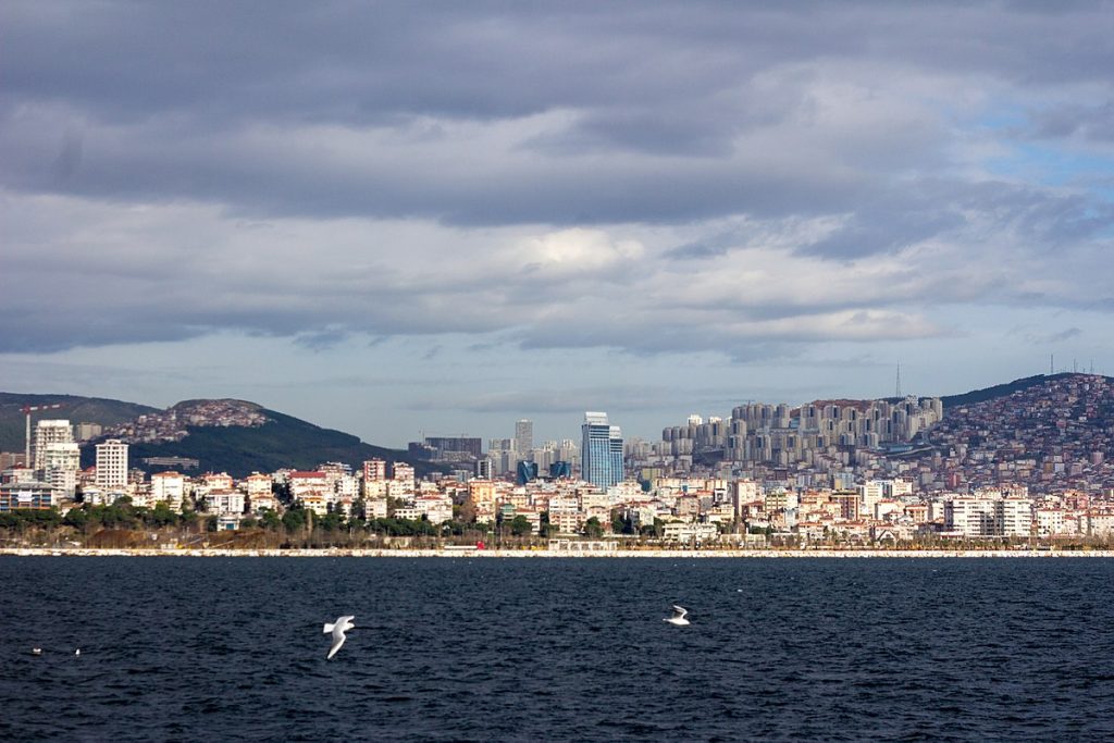 Maltepe Evden Eve Nakliyat-Bidüşüntaşın